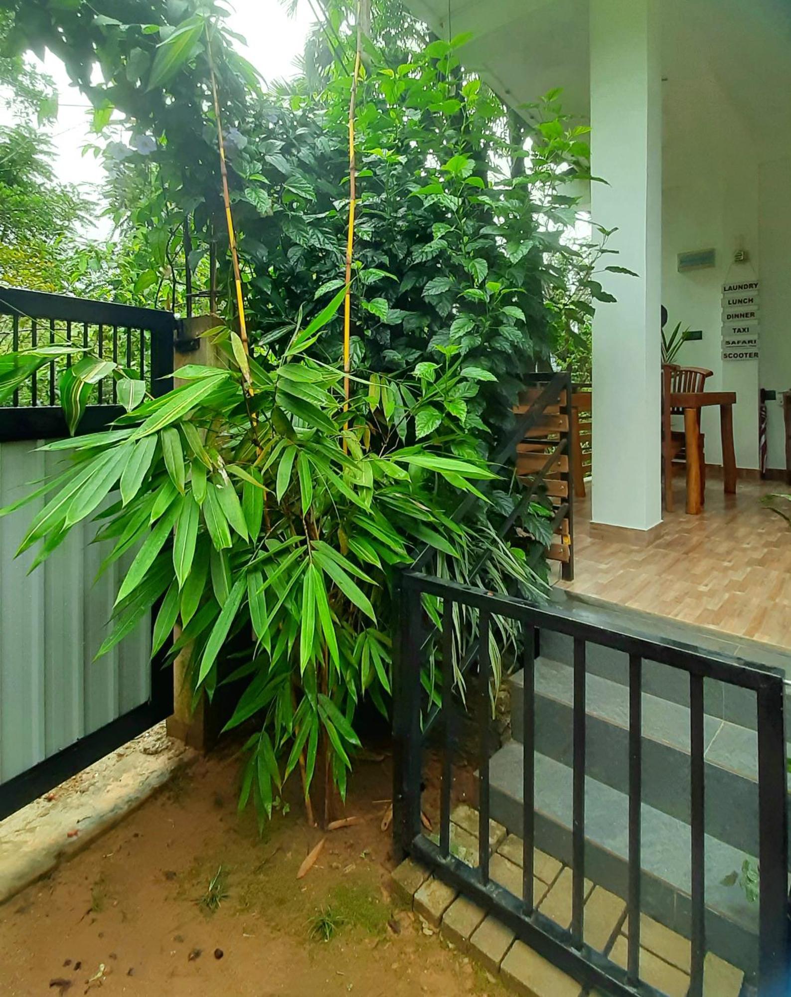 Dhanudi Homestay Ella Exteriör bild