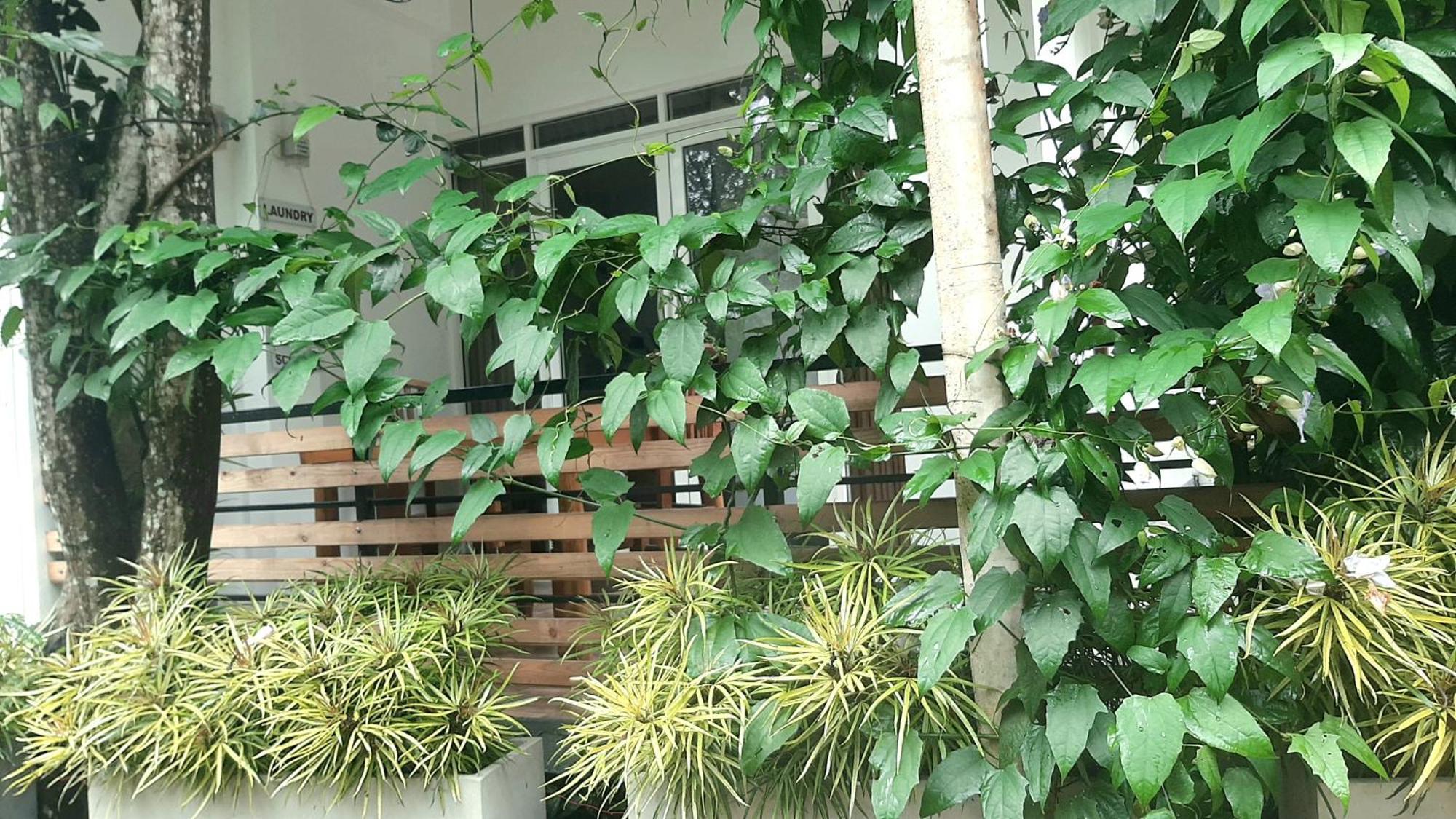 Dhanudi Homestay Ella Exteriör bild